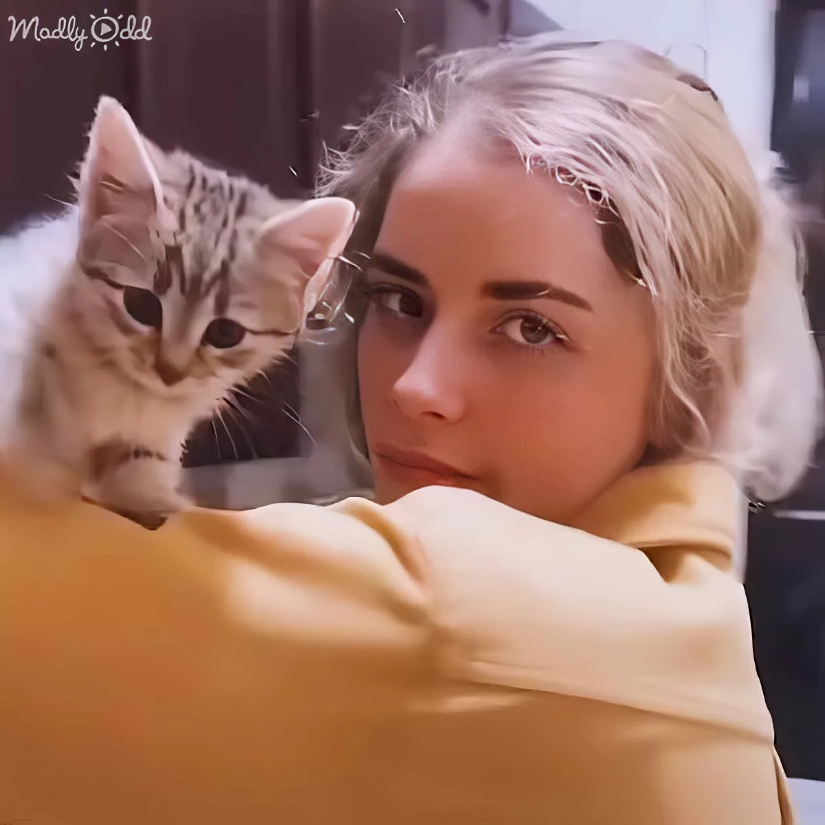 A person with blonde hair and a cat on their shoulder, both looking directly at the camera.