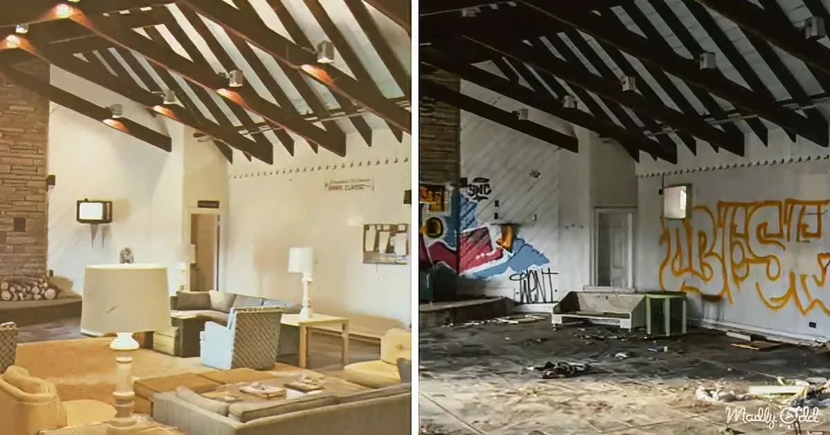A living room before and after, with the after showing graffiti and debris, indicating abandonment.