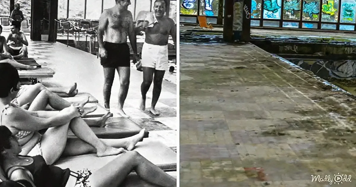 Two men in swim trunks stand near a pool, while others relax on lounge chairs in the background.