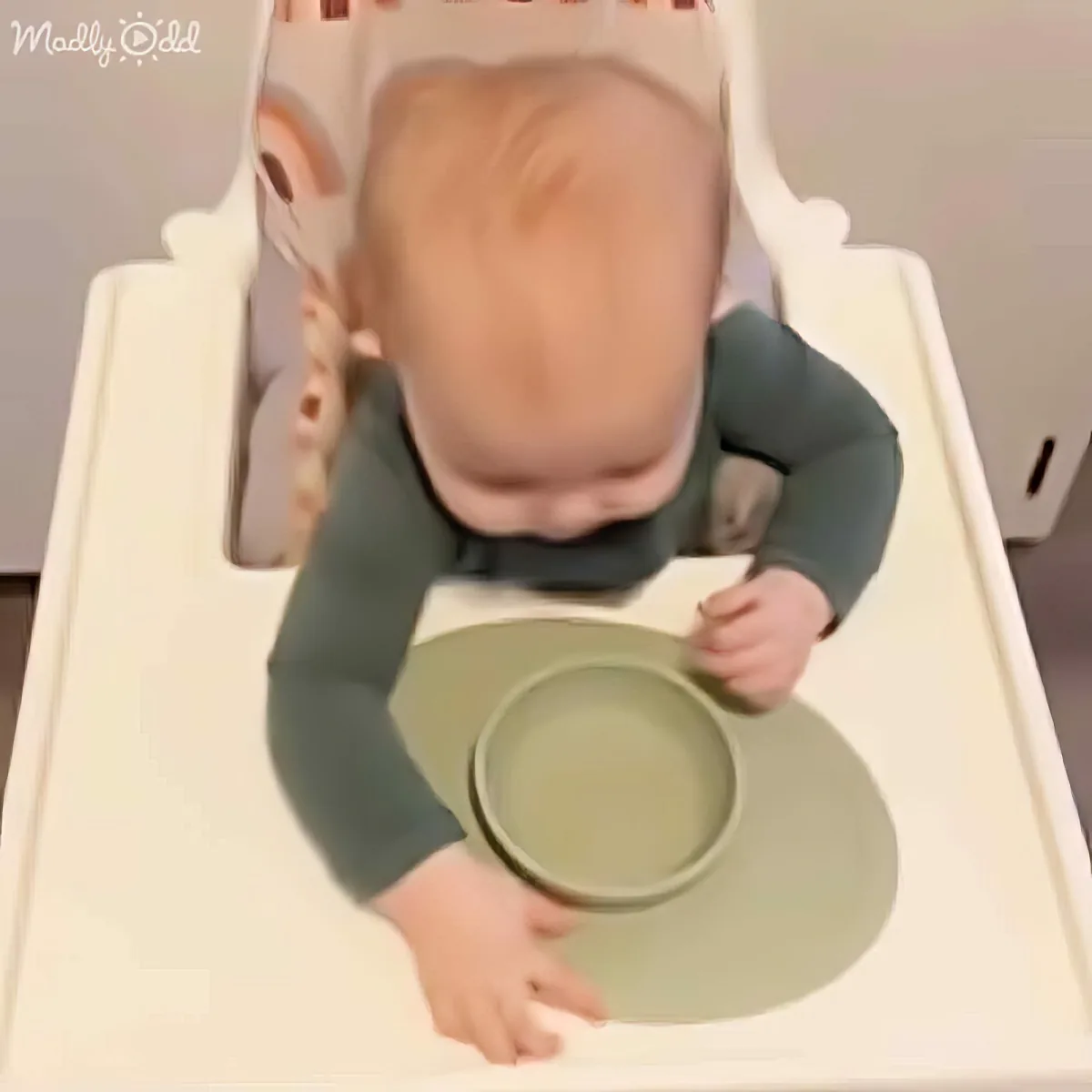 A baby in a high chair holds a green plate, looking down at it.
