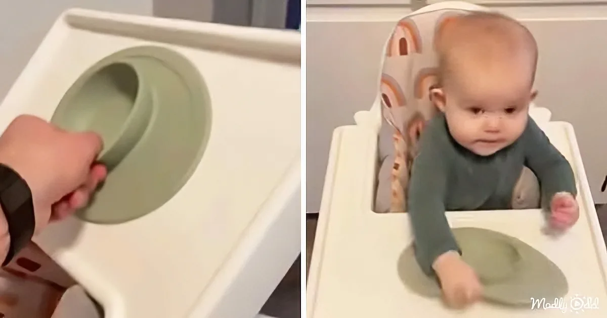 Toddler Disagrees With Dad About the 'Baby-Proof' Bowl