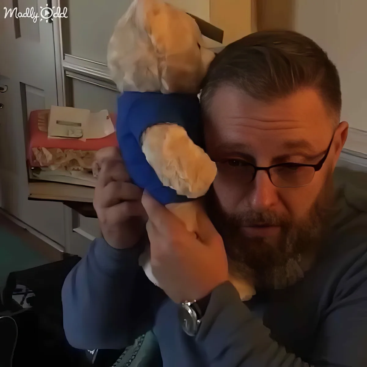 A man with a beard and glasses holds a blue object with a fluffy, light brown substance inside, resembling a stuffed animal.