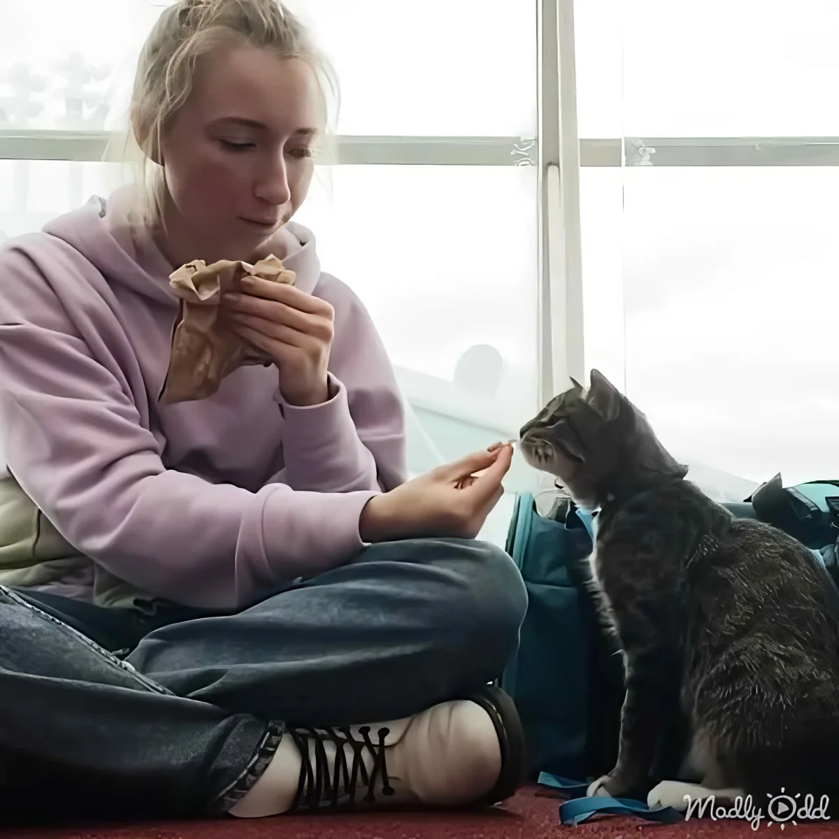 A person in a pink hoodie sits on a couch, holding food, while a tabby cat sits beside them, looking up.