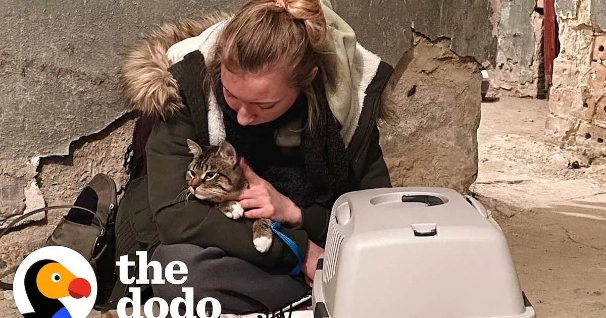 Woman Escapes Russian War in Ukraine With Her Tabby Cat