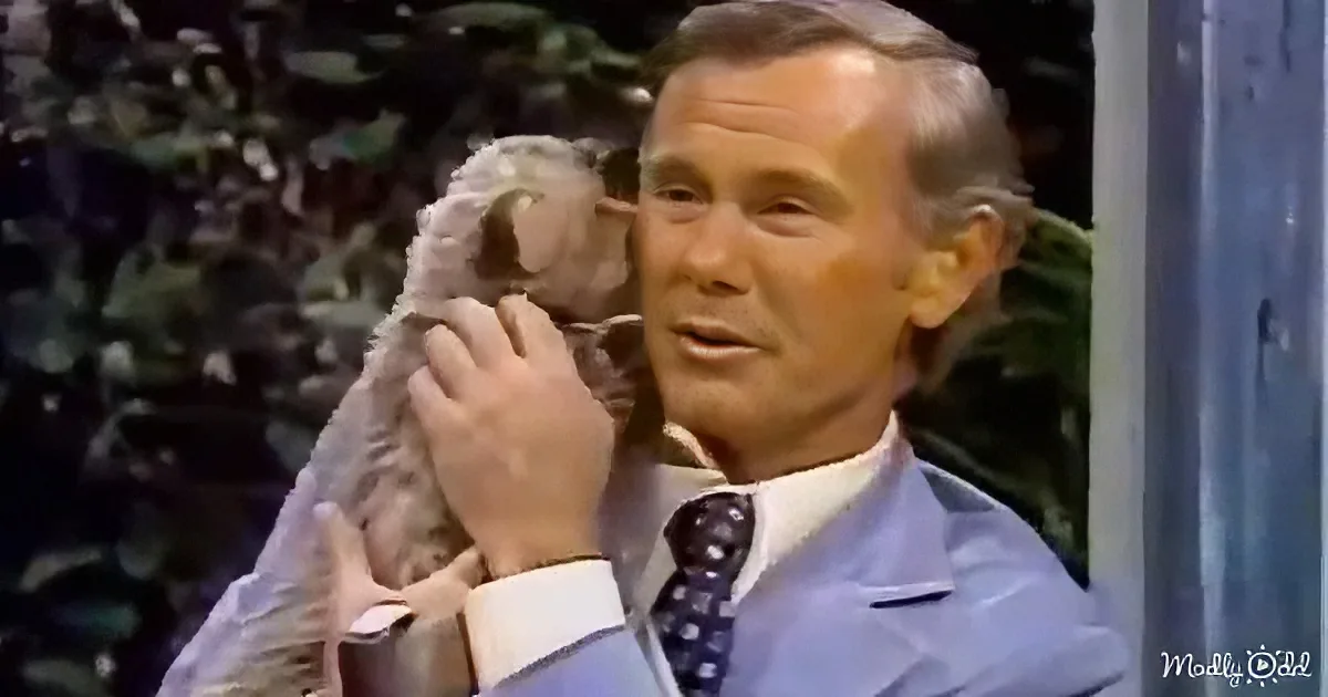 A man in a light blue suit and tie holds a small dog while speaking, with a blurred background of greenery.