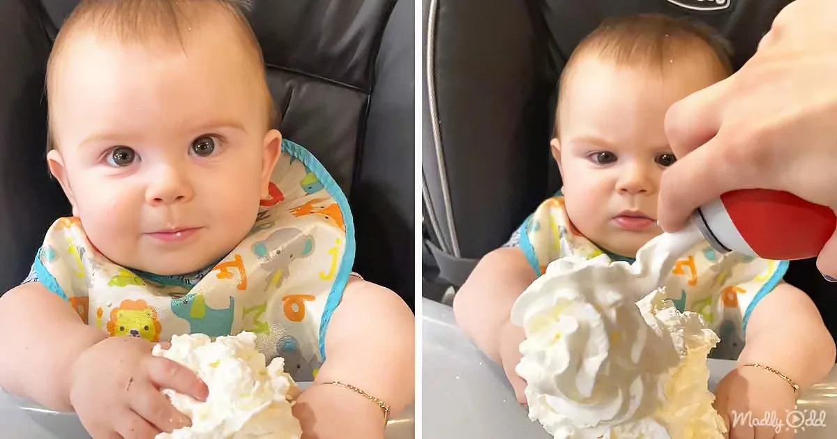 Baby's First Encounter With Whipped Cream
