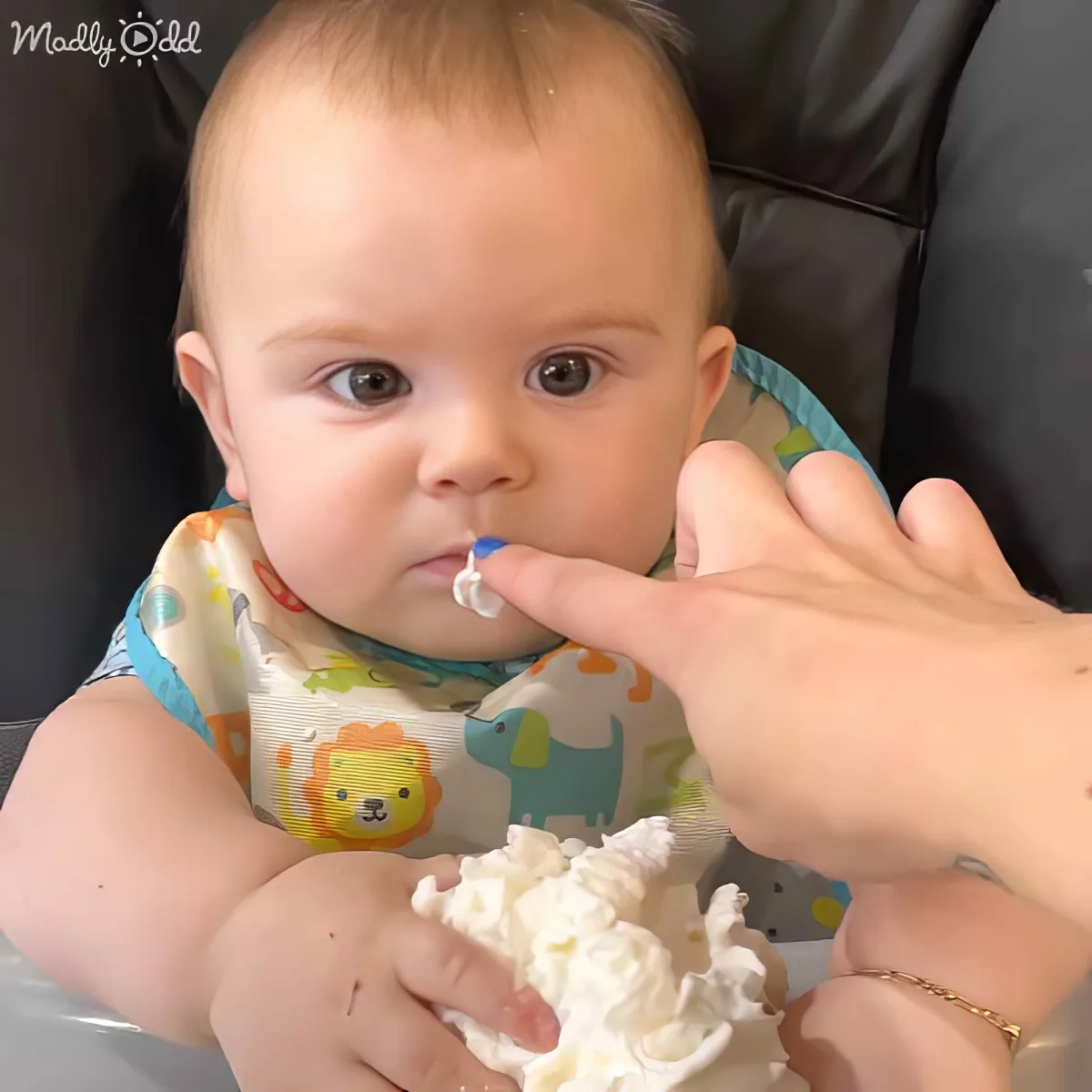 A baby wearing a bib with a lion design is being fed by a hand holding a piece of cake.