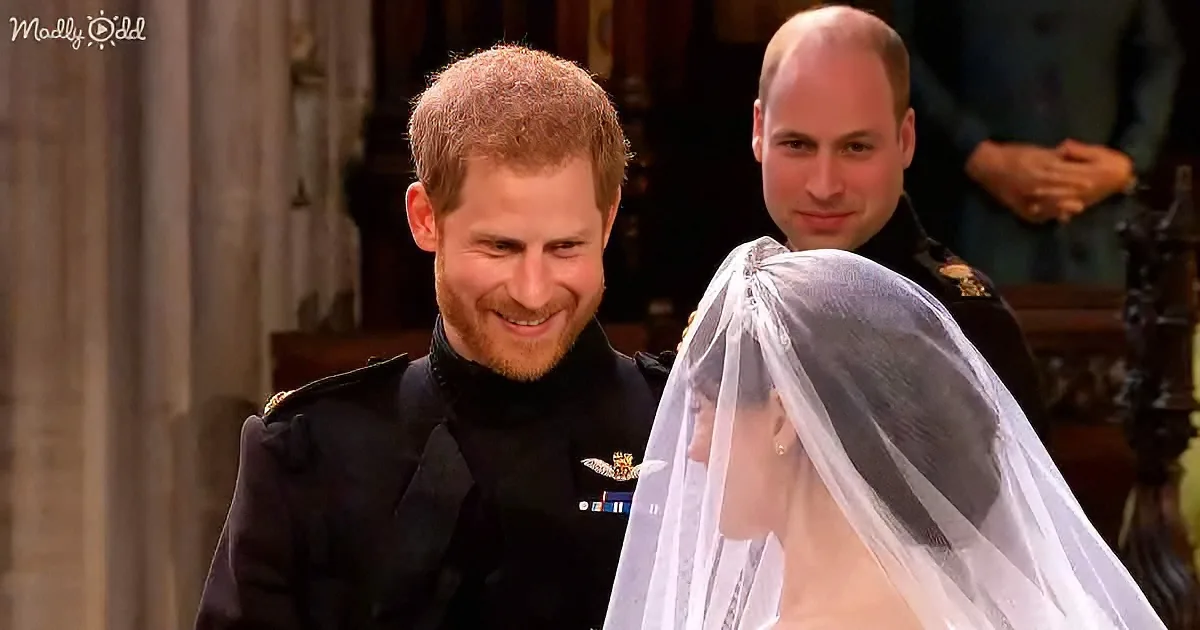 Prince Harry smiles at a bride in a veil, with Prince William in the background at a formal event.