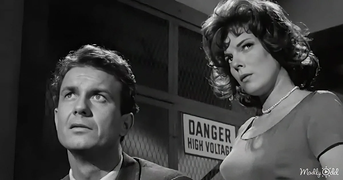 A man and woman stand in front of a "DANGER HIGH VOLTAGE" sign, both looking up with concern.