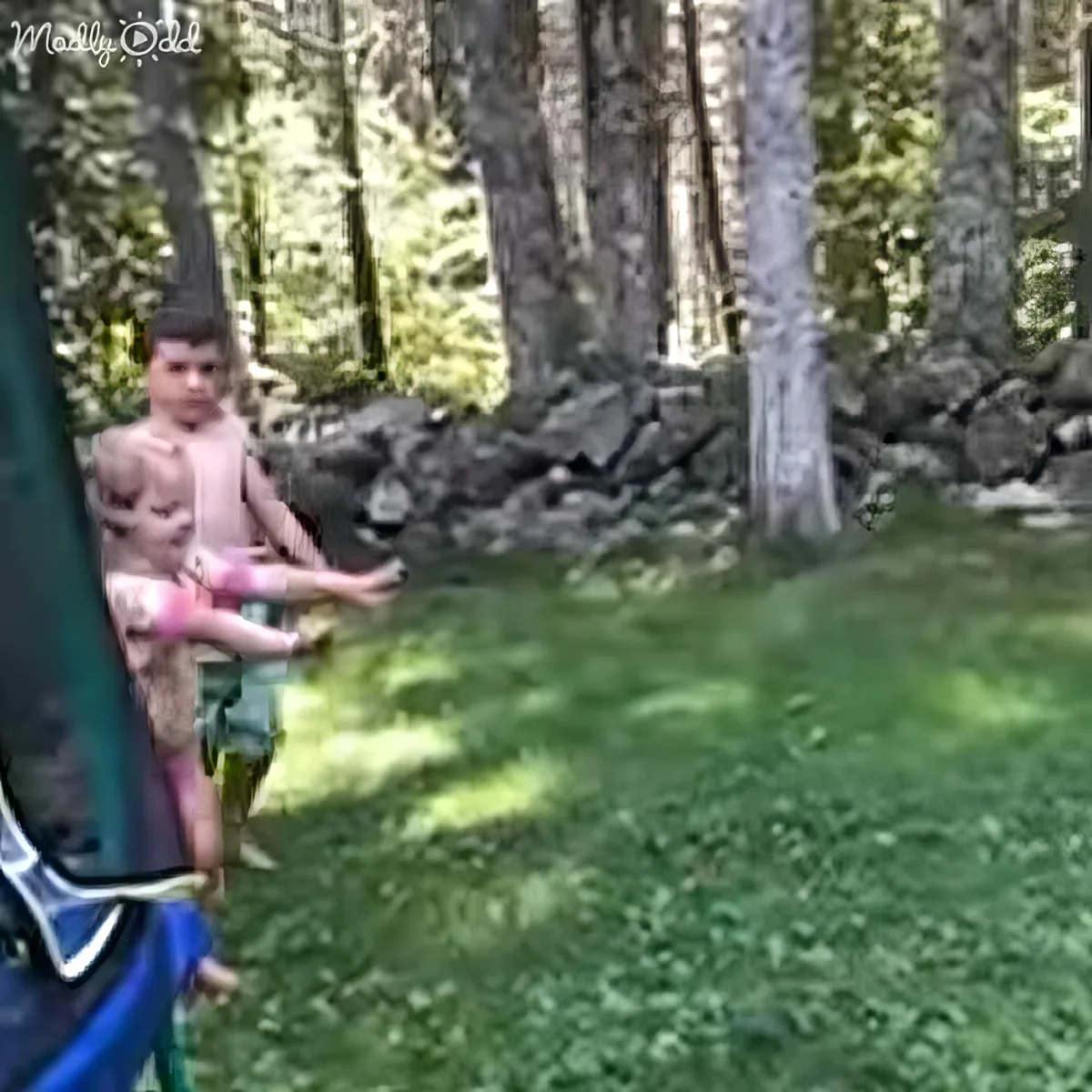 A man in shorts holds a baby while standing in a grassy area with trees in the background.