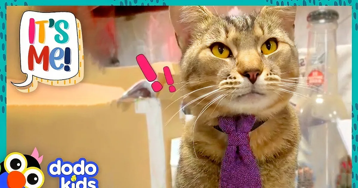 A cat with bright yellow eyes and a purple tie stands in a laboratory setting with beakers and equipment.
