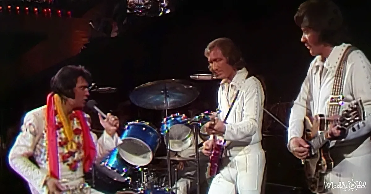 A band in white outfits performs on stage, with a drummer, guitarist, and singer in the spotlight.