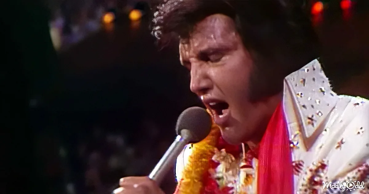 Elvis Brings the Power to His Live Performance in Hawaii
