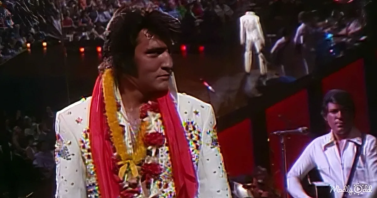 Elvis Presley in a white sequined suit with a red and yellow lei, performing on stage with a guitarist.