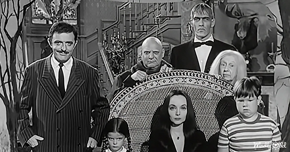 Remembering a Nostalgic Favorite: 'The Addams Family' 1960s TV Show