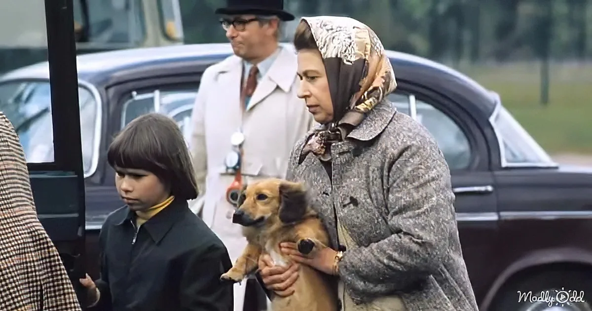 Queen Elizabeth II holds a dog while a young boy and man look on, with a vintage car in the background.