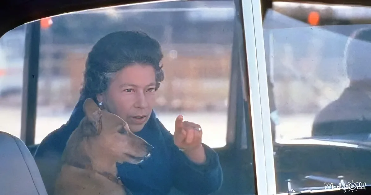A woman sits in a car, gesturing with her hand, with a dog resting on her lap.