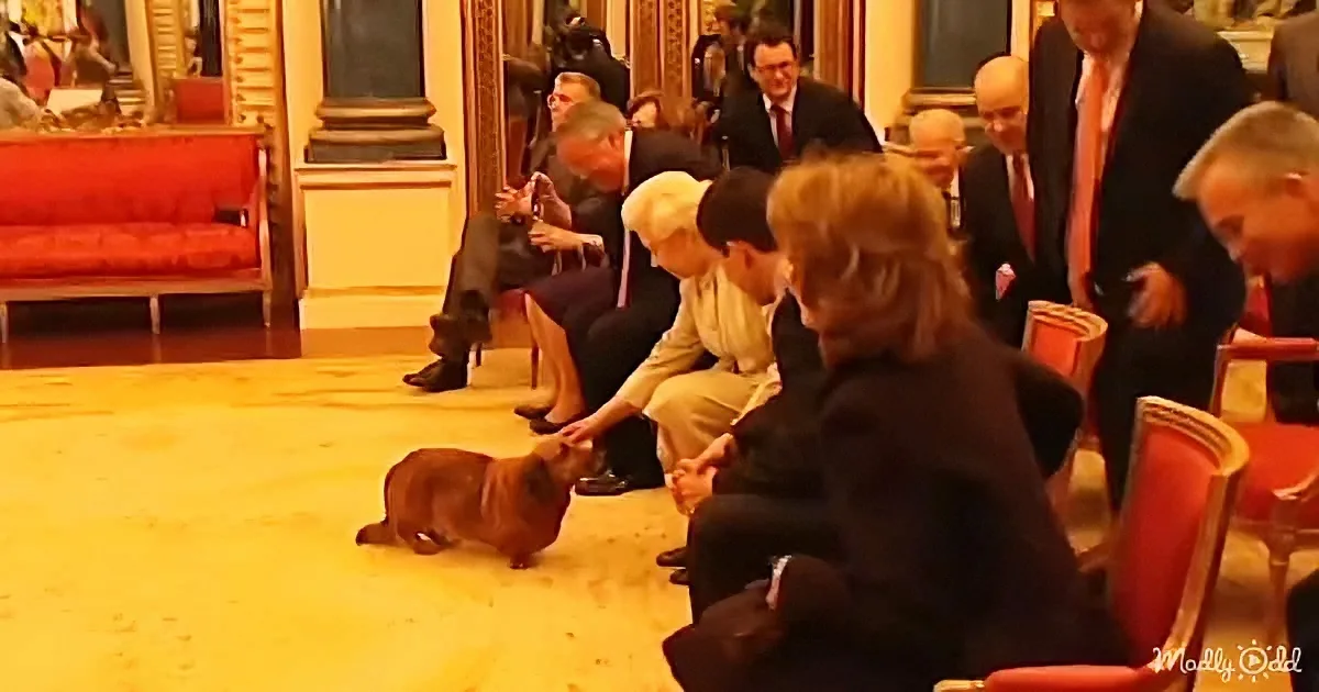 Queen Elizabeth II