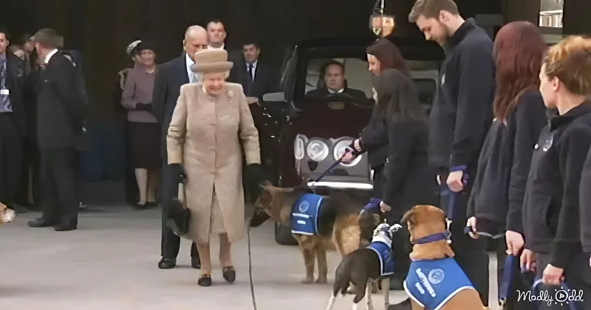Queen Elizabeth II