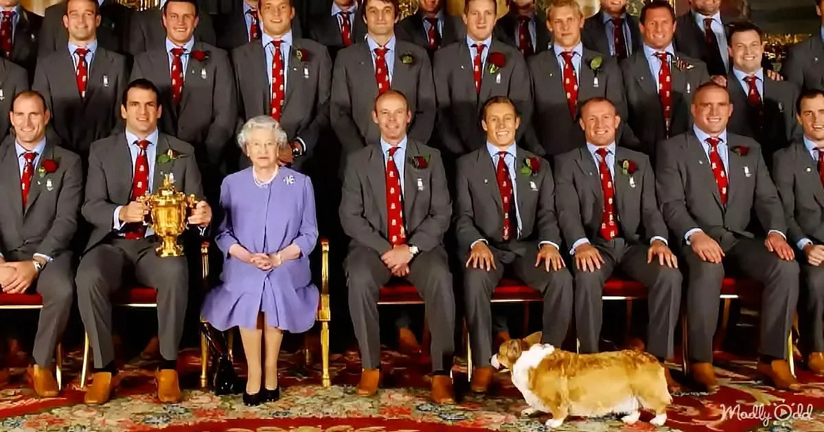Queen Elizabeth II sits with a rugby team, holding a trophy, and a corgi lies on the floor.