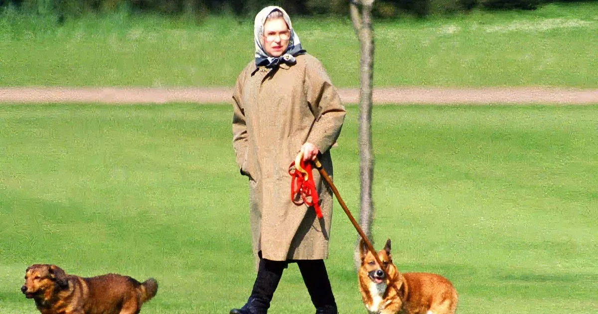Everyone Wonders What Will Happen to Queen Elizabeth Ii's Royal Pups