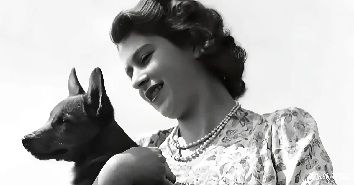 A woman in a floral dress smiles while holding a small dog.