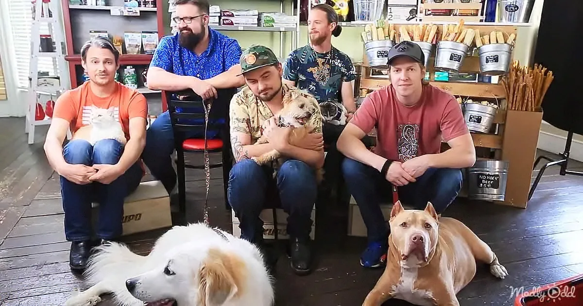 Five men sit with pets in a cozy room, surrounded by shelves and wooden floors.