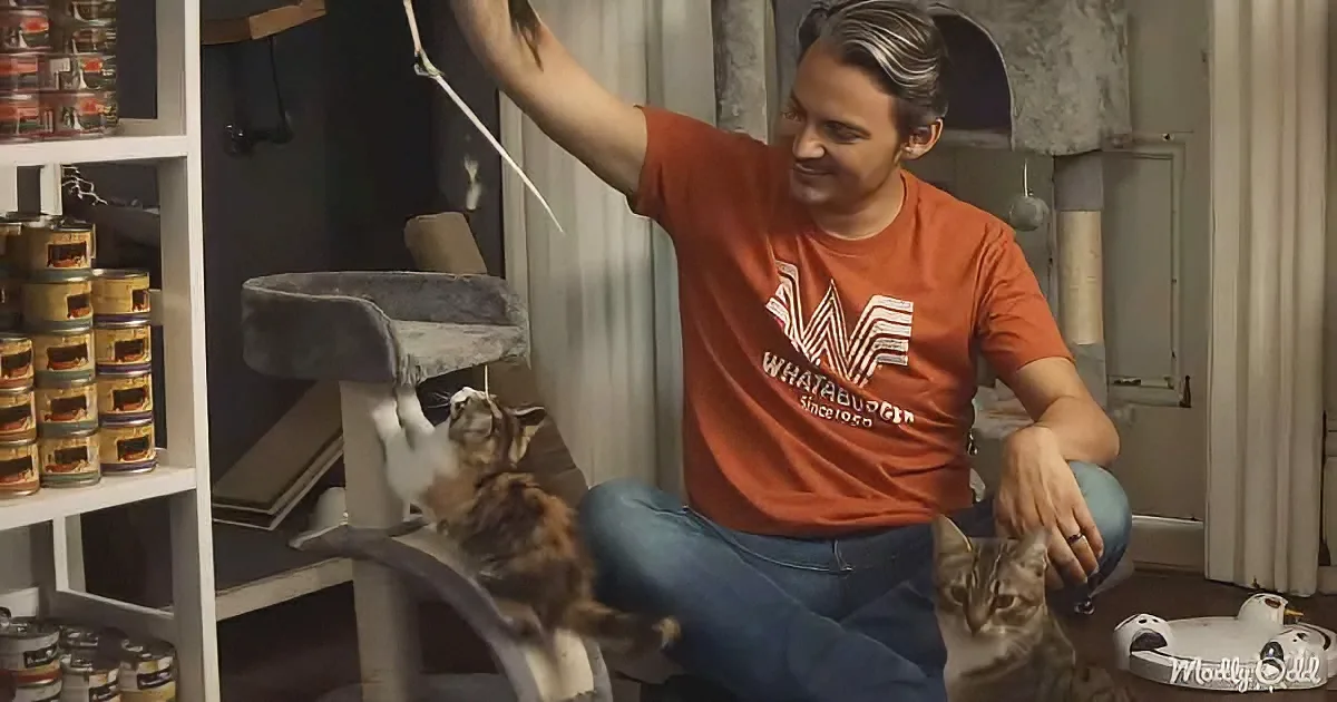 A man in an orange Whataburger shirt interacts with cats in a cozy indoor setting.