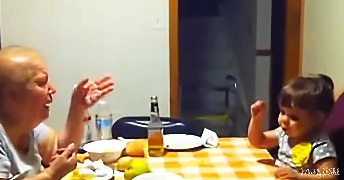 A woman and a child are sitting at a table with food, smiling and interacting.
