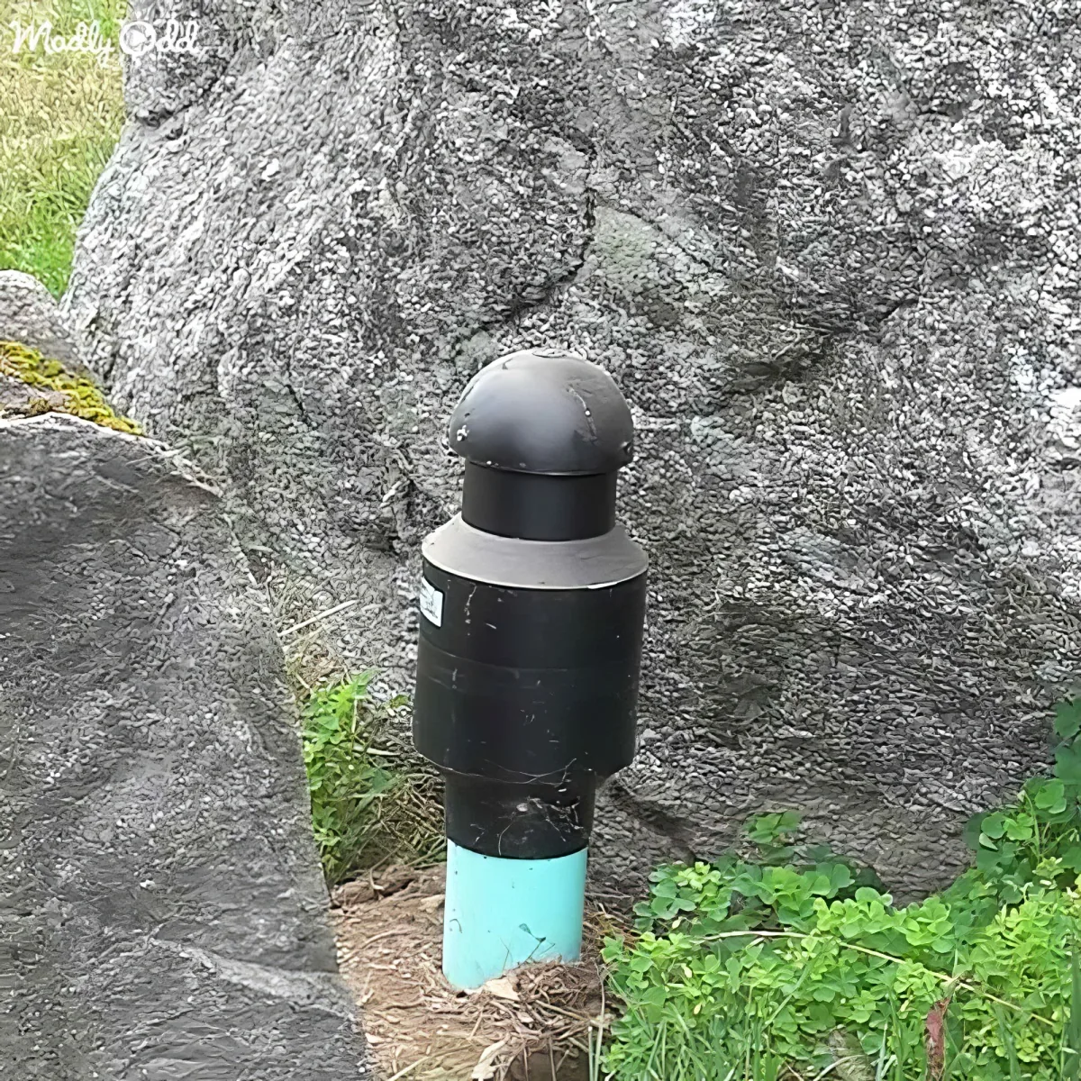 A black cylindrical object with a dome on top is embedded in a rocky surface, surrounded by grass and dirt.
