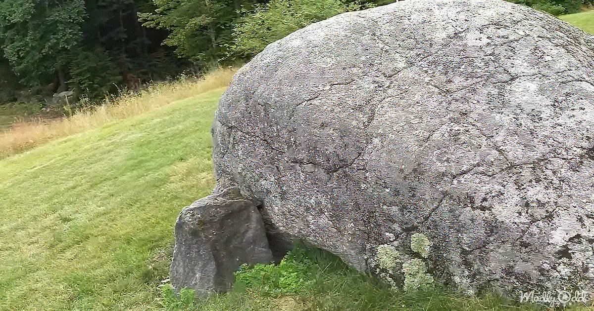 This 'Rock' Fooled Everyone for 30 Years
