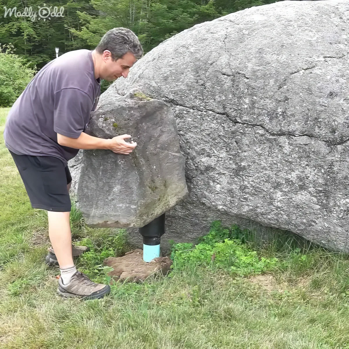 A man examines a large rock with a blue object stuck in its side, surrounded by grass and trees.