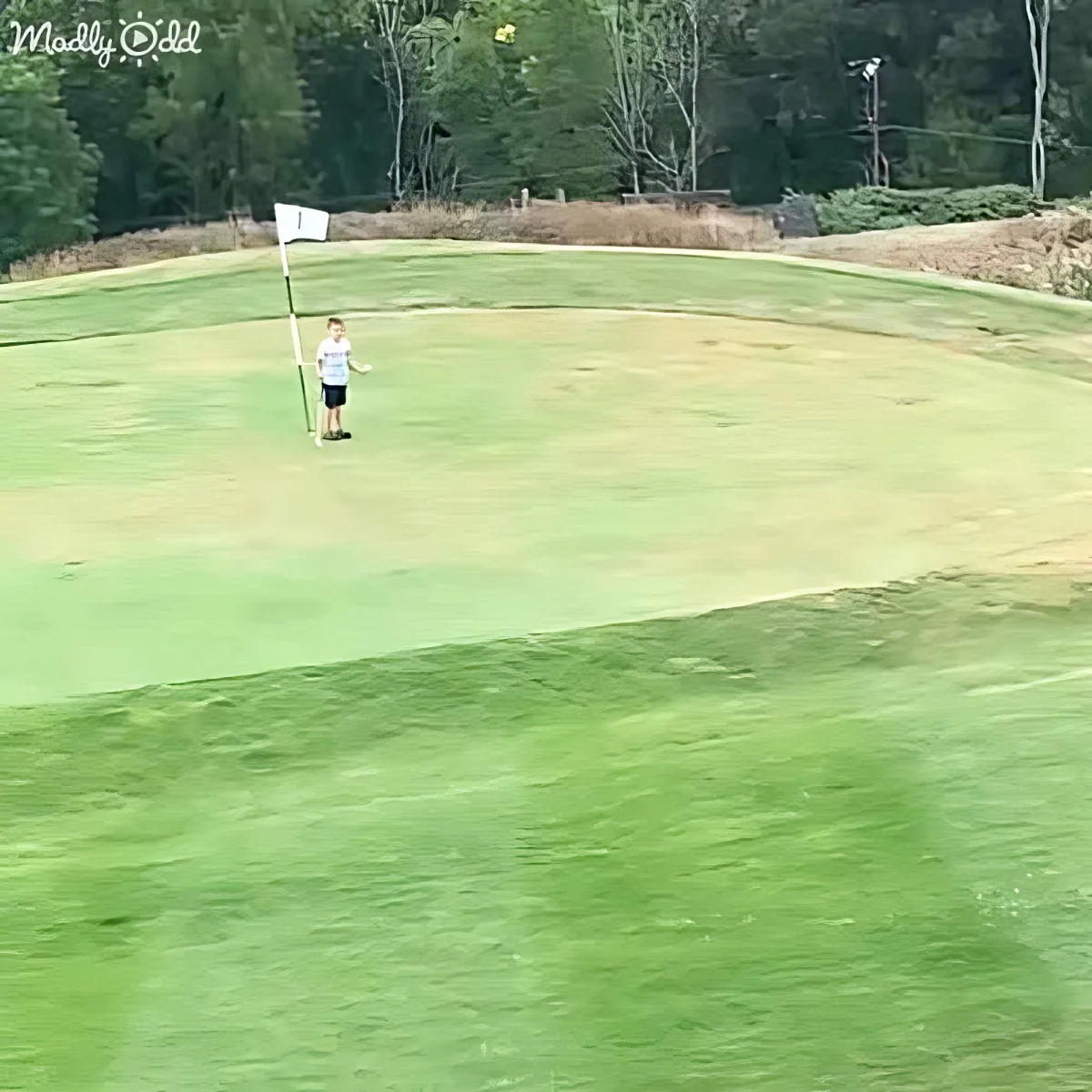 A young boy stands on a golf course green near a flagstick, surrounded by grass and trees.
