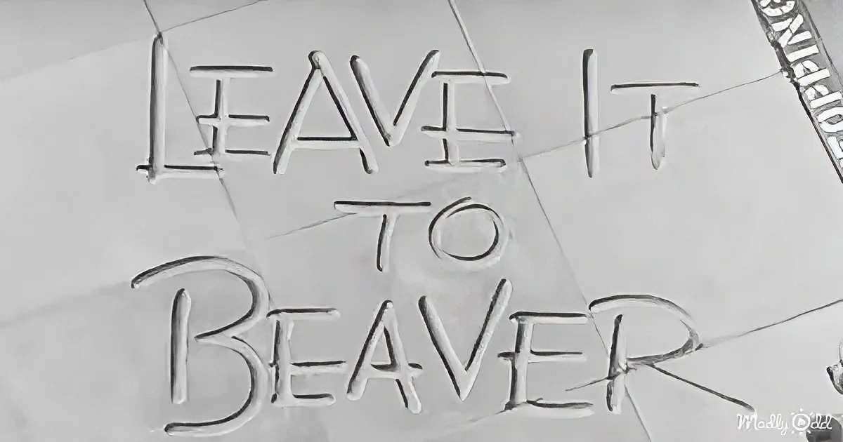 The title "Leave It to Beaver" in stylized text with a vintage, monochromatic background.