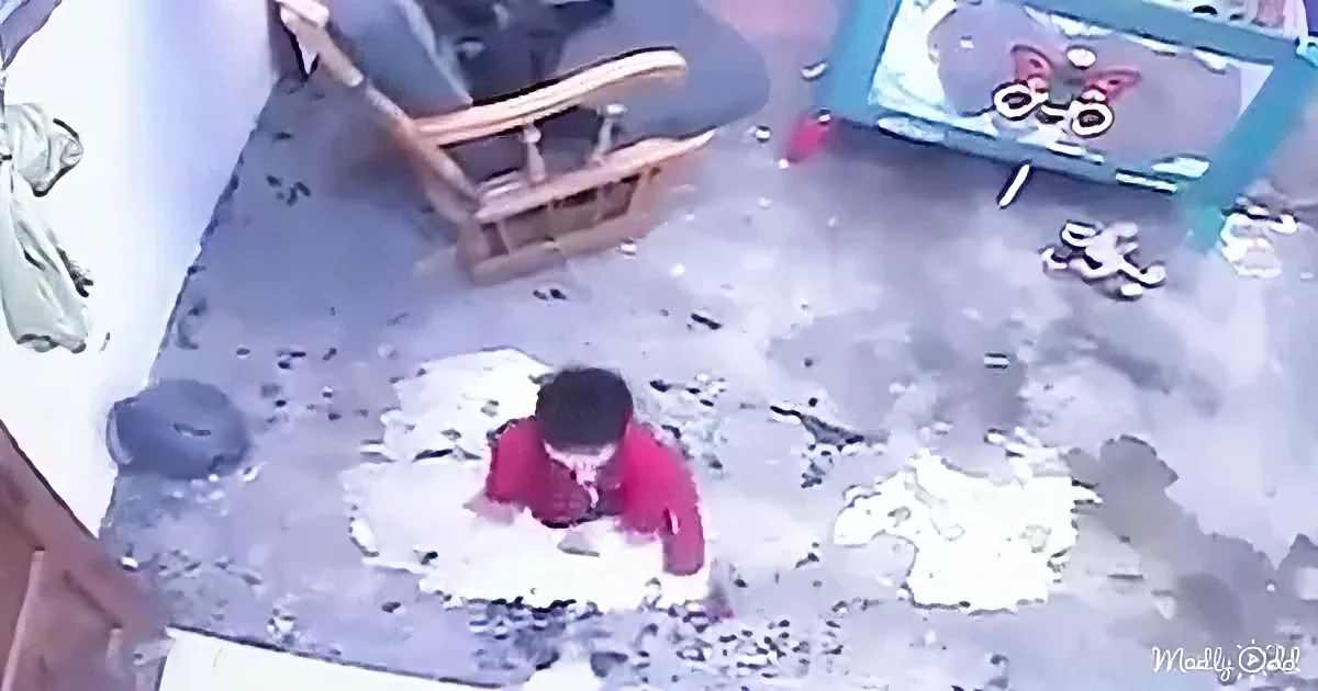 Cat saves baby