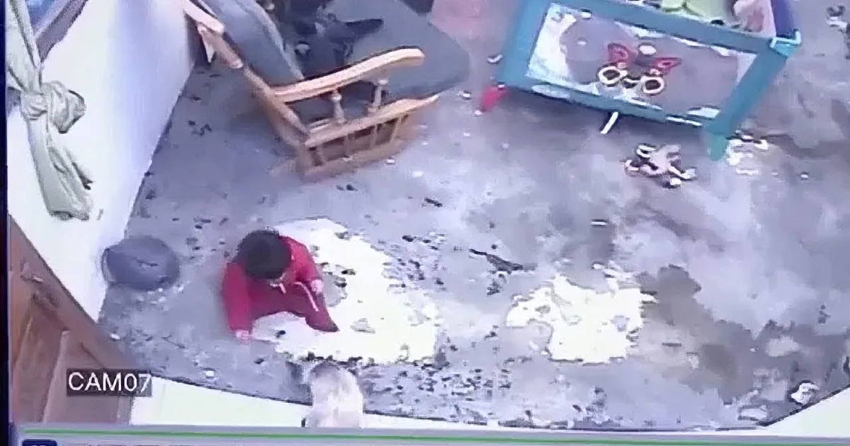 Guardian Angel Cat Saves Baby From Falling Down Stairs