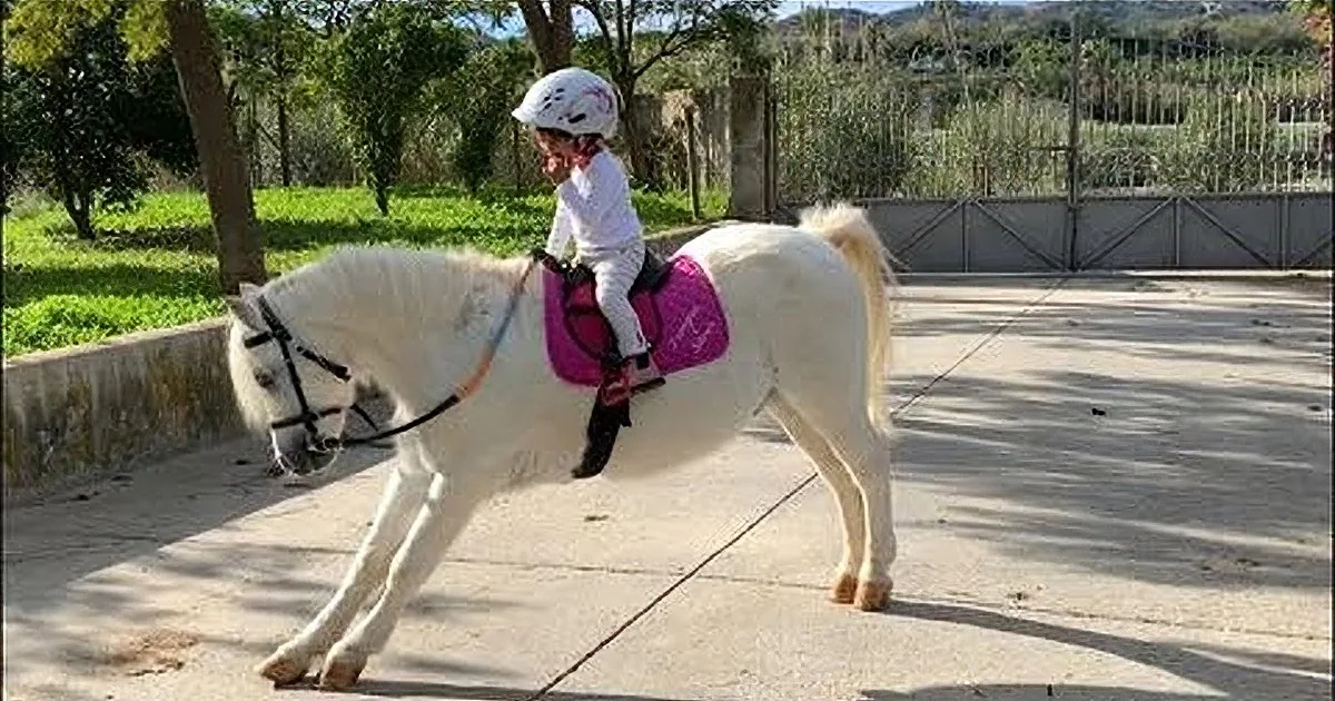 A child in a white helmet rides a white pony with a pink saddle on a sunny day.