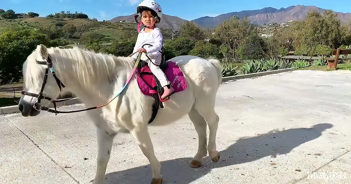 Toddler loves horse riding