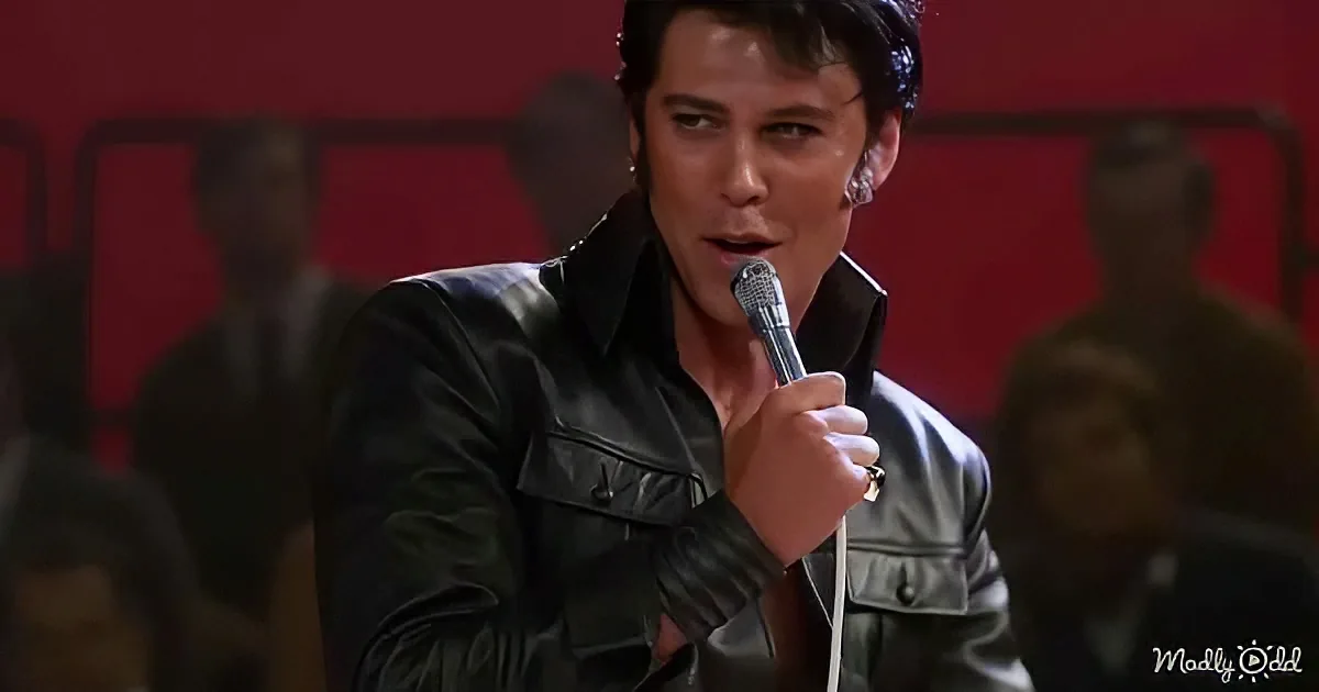 A man in a black leather jacket sings into a microphone, with a red background and blurred audience.