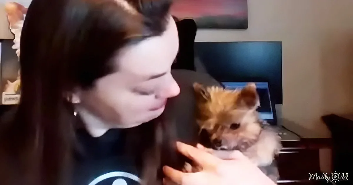 A woman holds a small, fluffy, light-brown dog, both appearing content and relaxed.