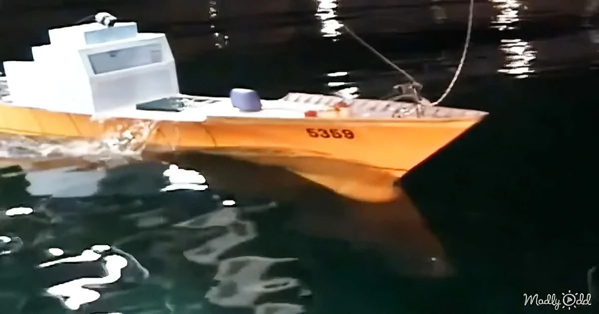 An orange boat numbered 5359 floats on calm water with a white device on top.