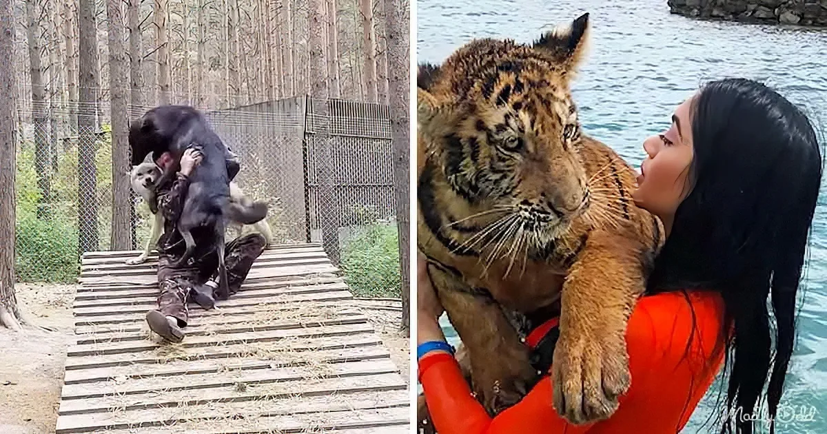 Animals Have the Sweetest Reunions With Their Best Friends After Years