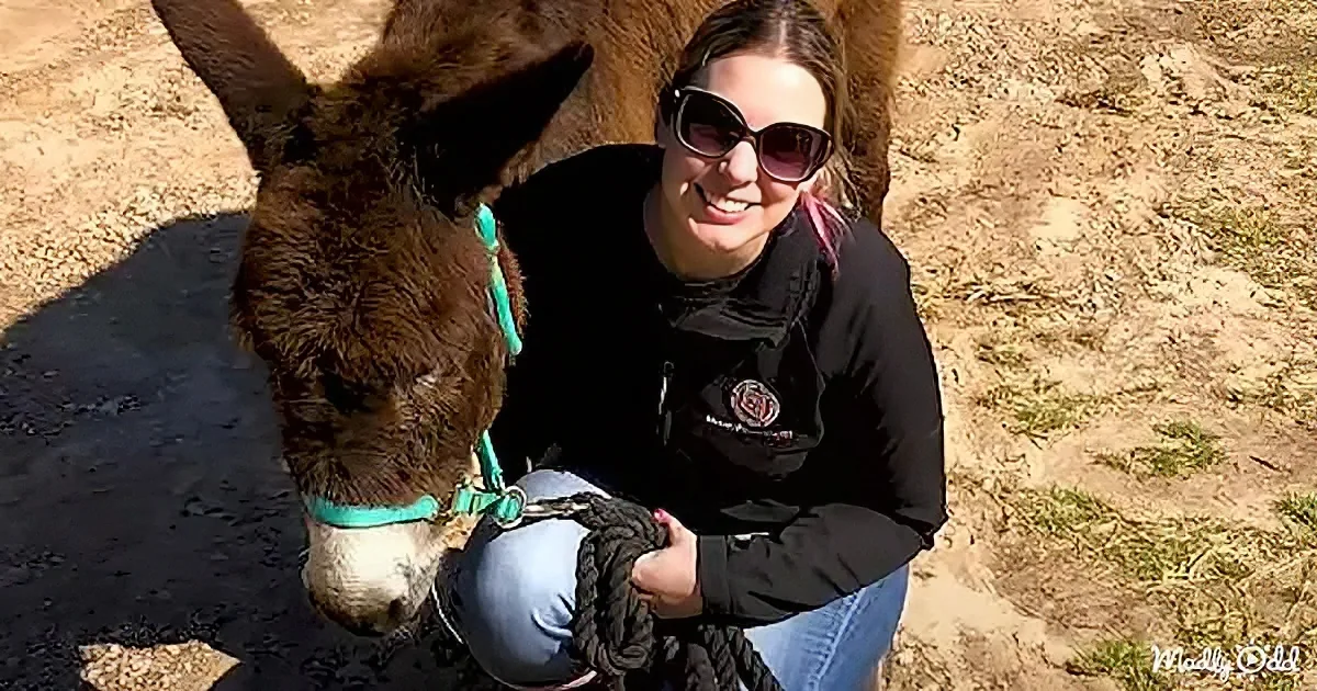 A woman in sunglasses smiles while kneeling beside a donkey, holding a rope.