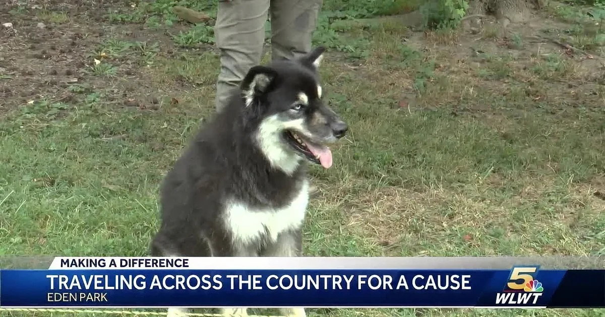 Veteran, Horse, and Dog Are Walking 1000s of Miles Across the Us for Good Cause
