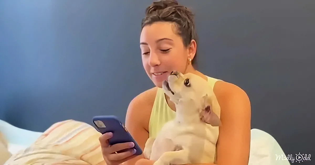 Socially Awkward Dog Loves Being With Only One Woman in the World