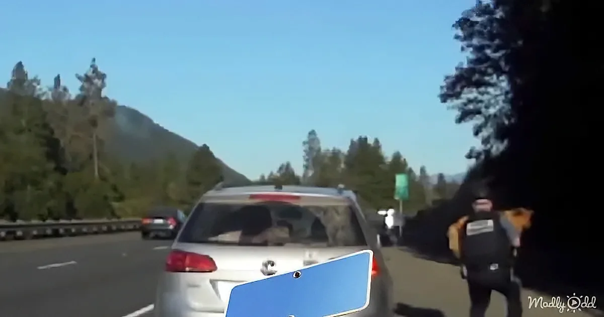 A white car drives on a highway with trees and a mountain in the background.