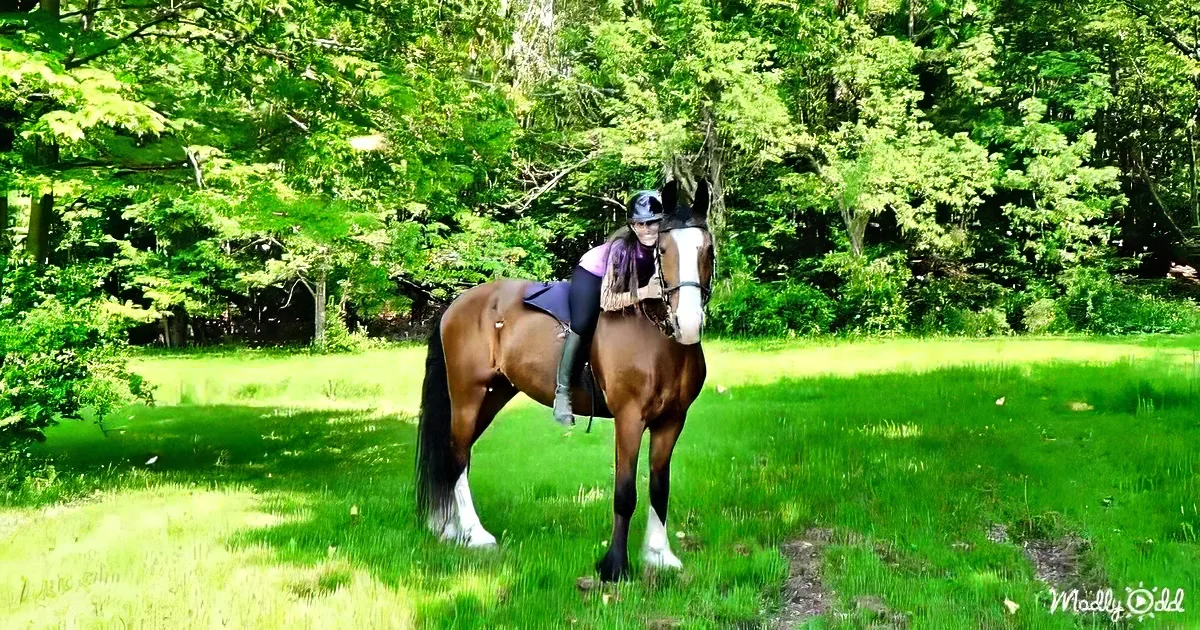 A rider in a helmet sits atop a brown horse with white markings, surrounded by lush green grass and trees.
