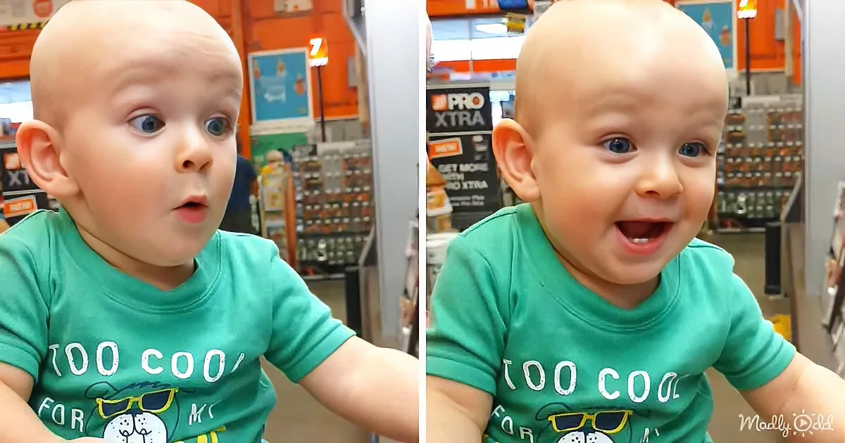 Adorable Baby Boy Has a Ball While out Shopping for Paint
