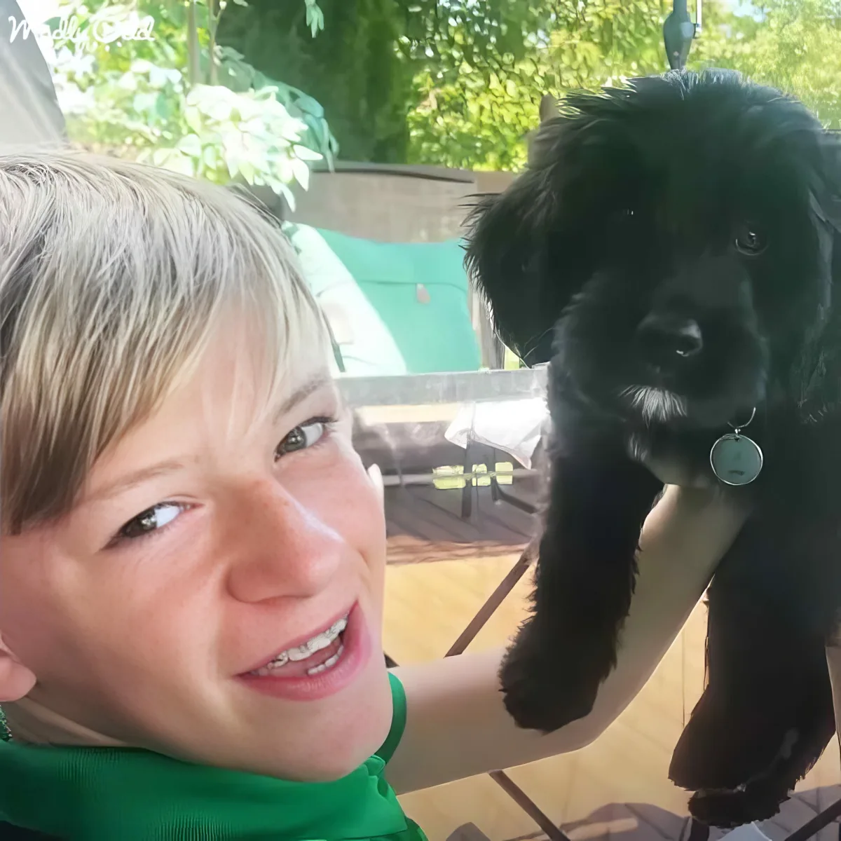A smiling person holds a black puppy with a green collar, surrounded by trees and outdoor furniture.