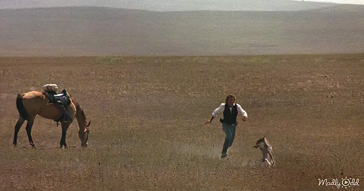 Dances with Wolves